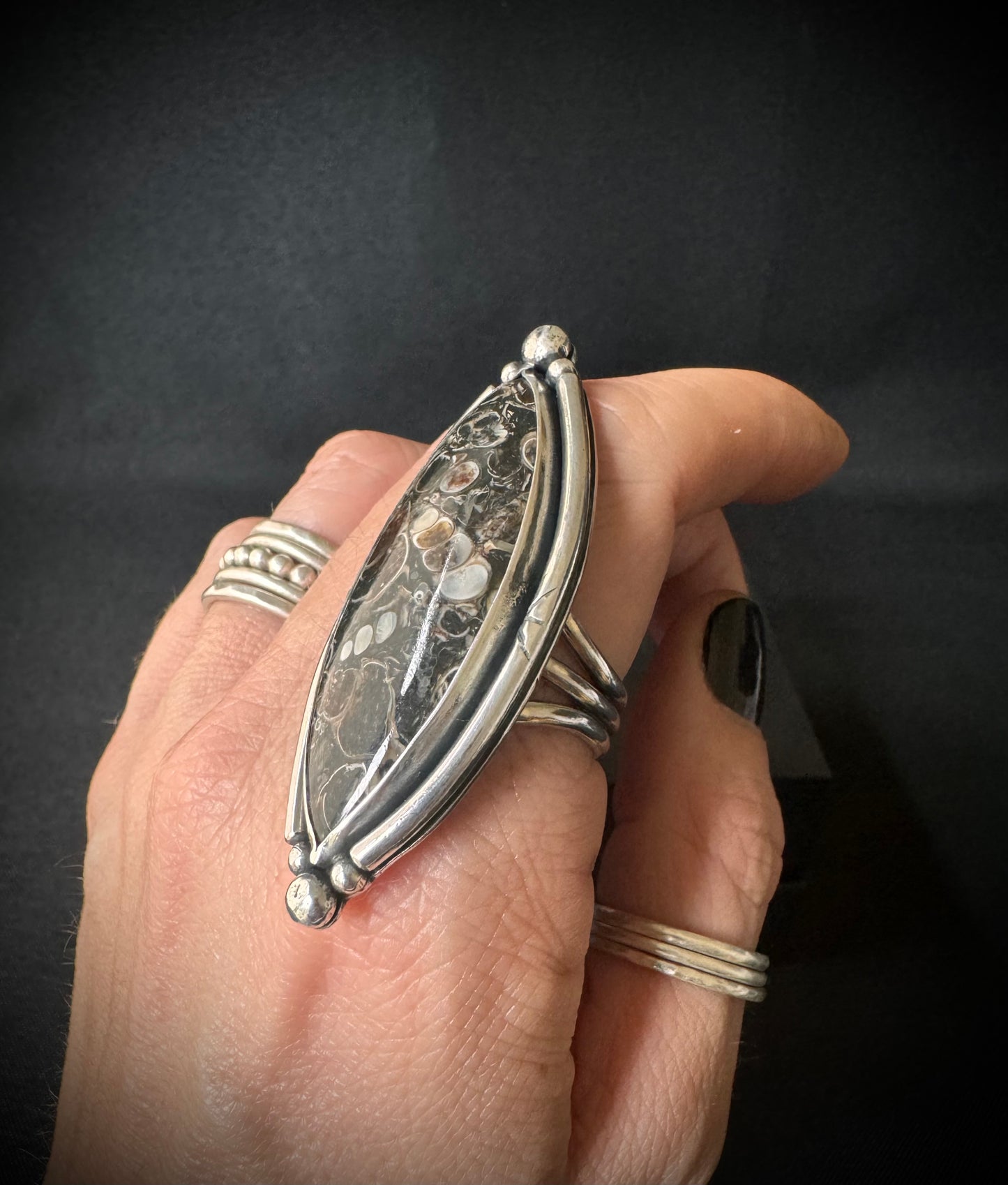Turritella Sterling Silver Ring - Size