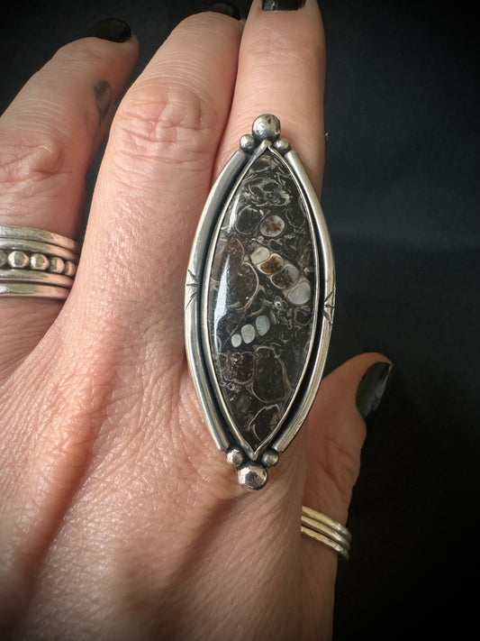 Turritella Sterling Silver Ring - Size