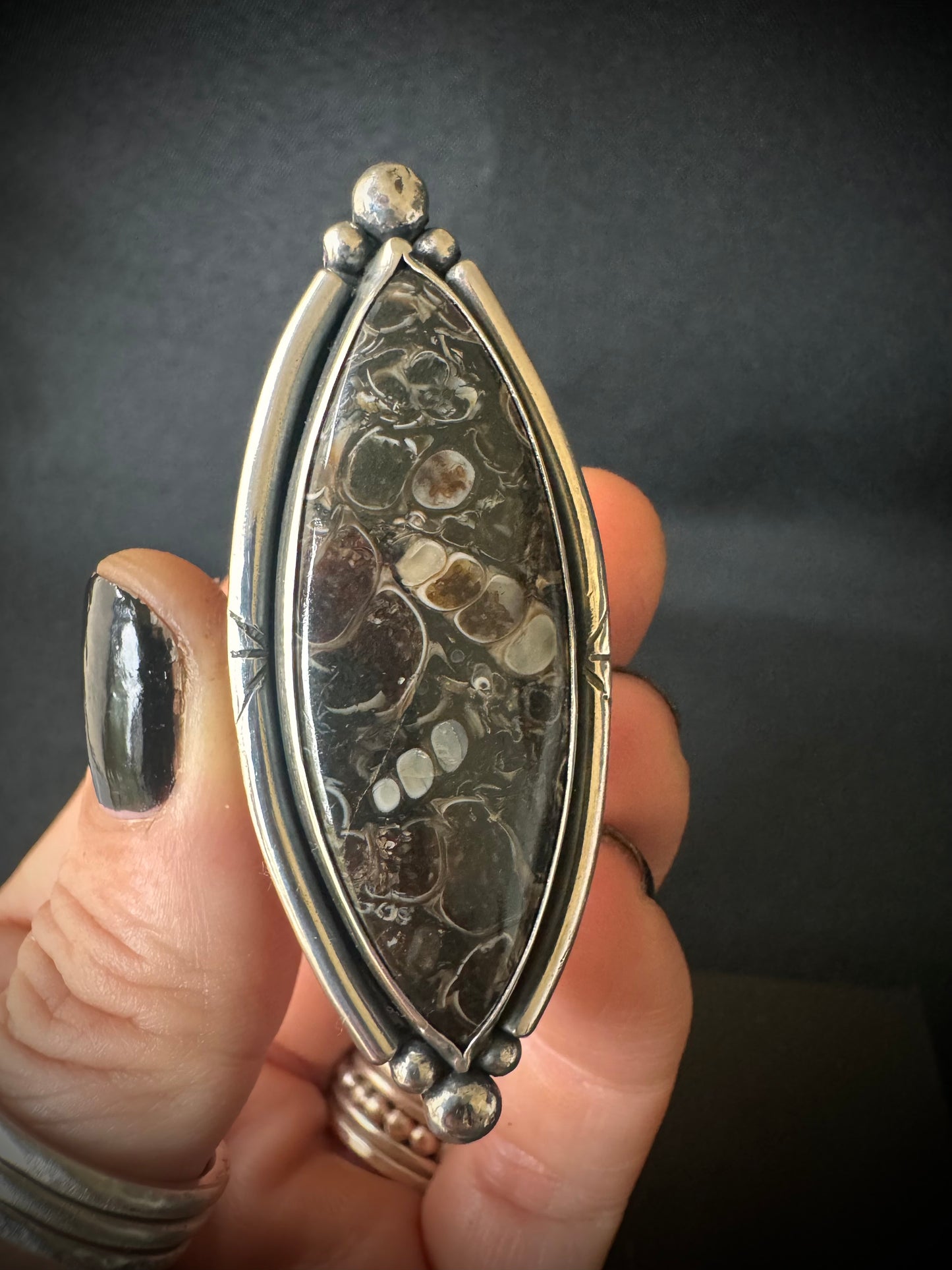 Turritella Sterling Silver Ring - Size