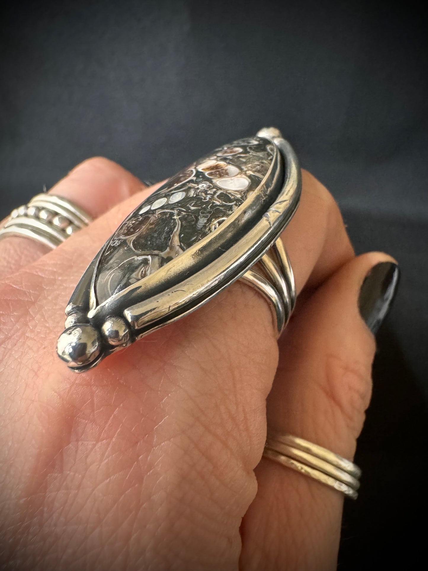Turritella Sterling Silver Ring - Size