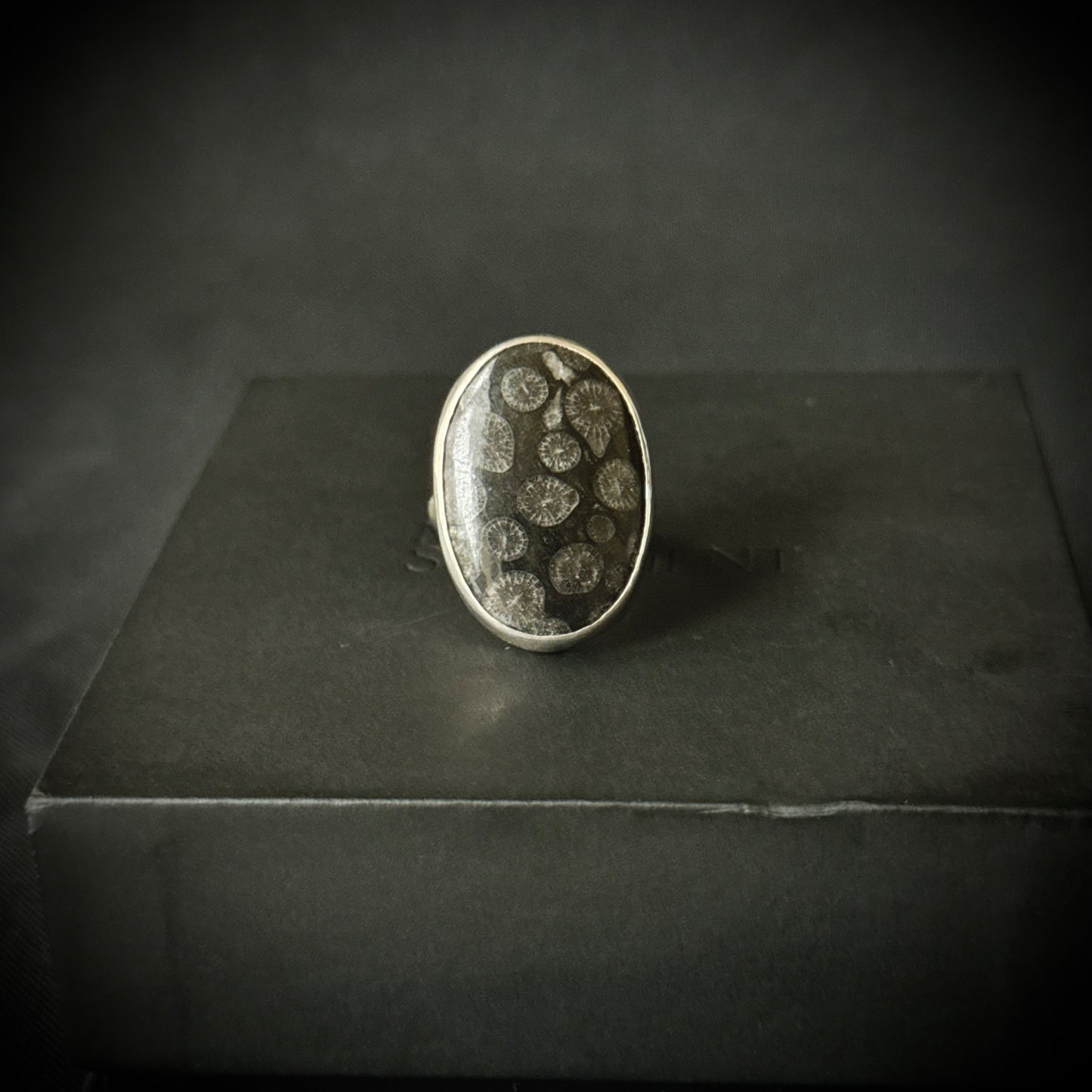 Black Fossil Coral Sterling Silver Ring - Size P
