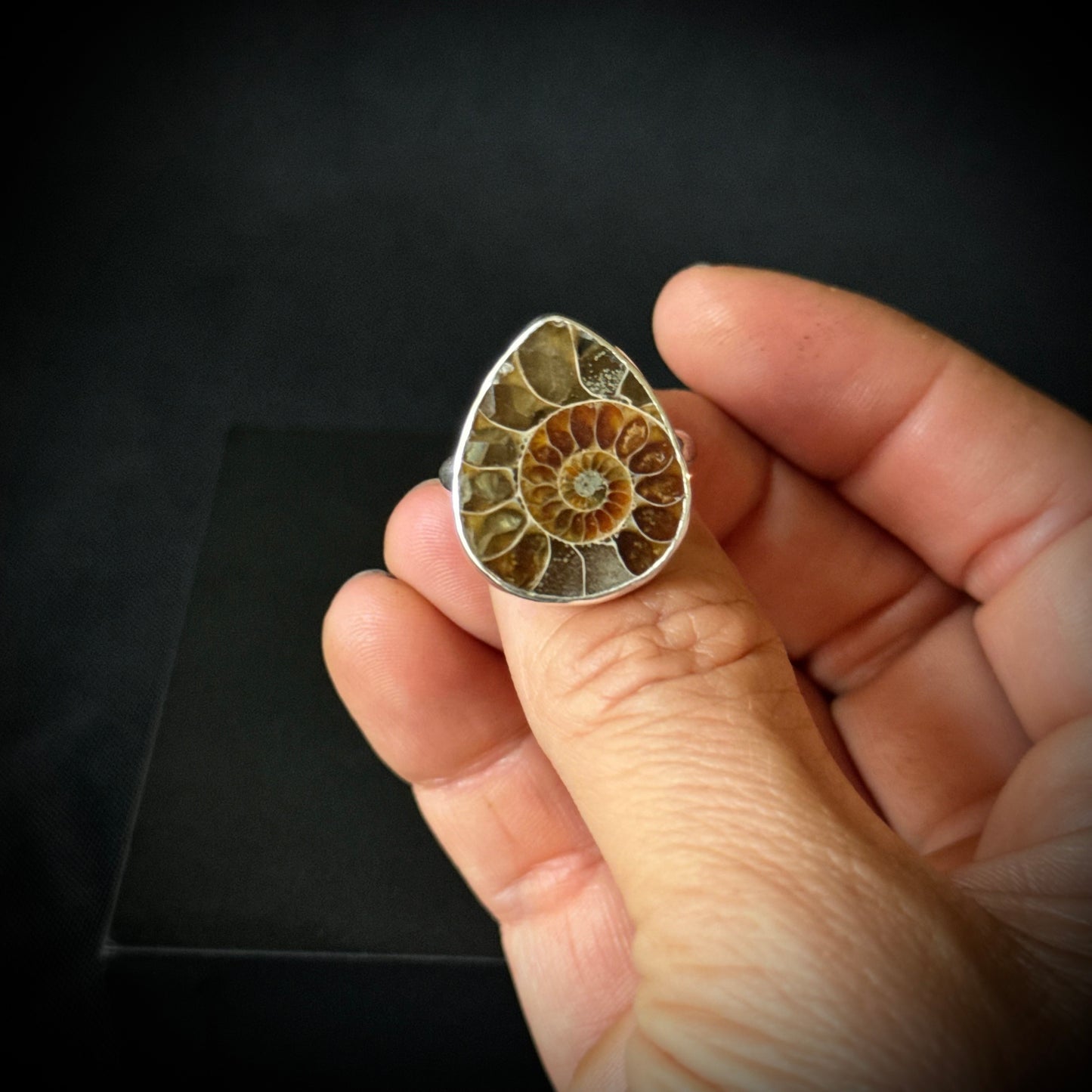 Small Ammonite Sterling Silver Ring - Size R 1/2