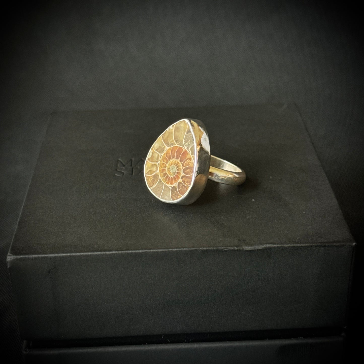 Small Ammonite Sterling Silver Ring - Size R 1/2