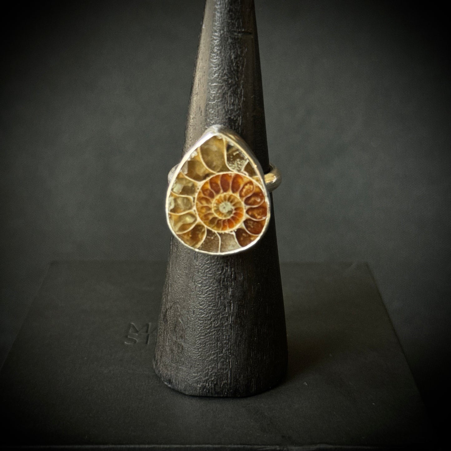 Small Ammonite Sterling Silver Ring - Size R 1/2