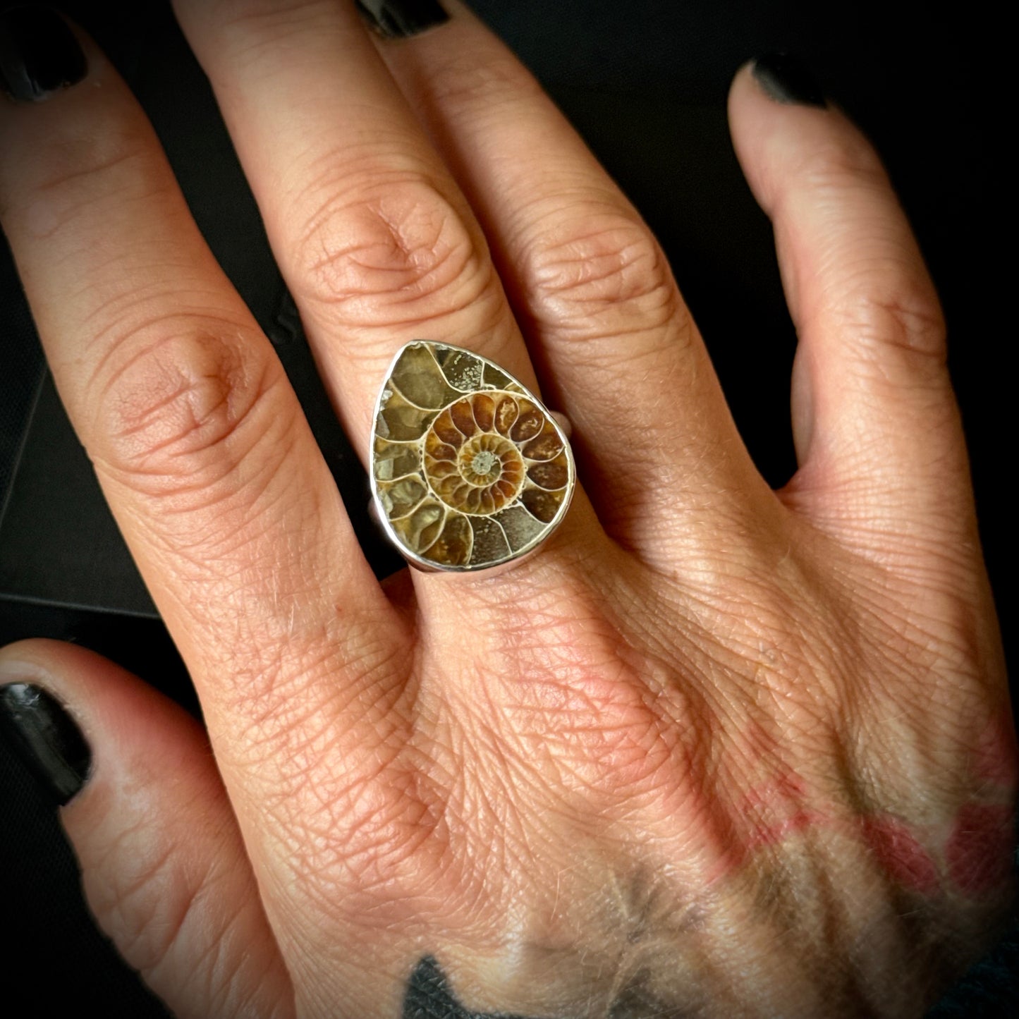 Small Ammonite Sterling Silver Ring - Size R 1/2