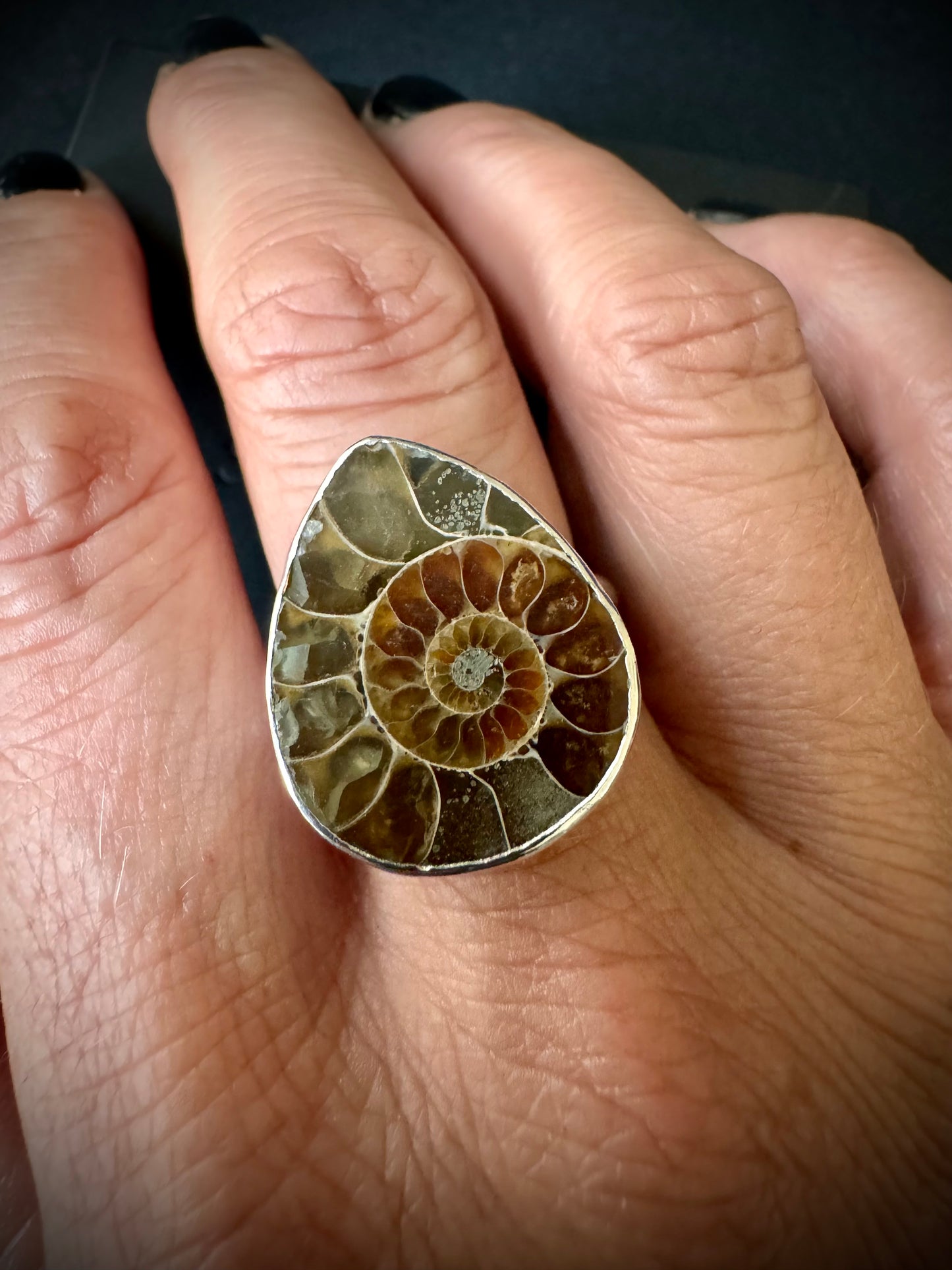 Small Ammonite Sterling Silver Ring - Size R 1/2