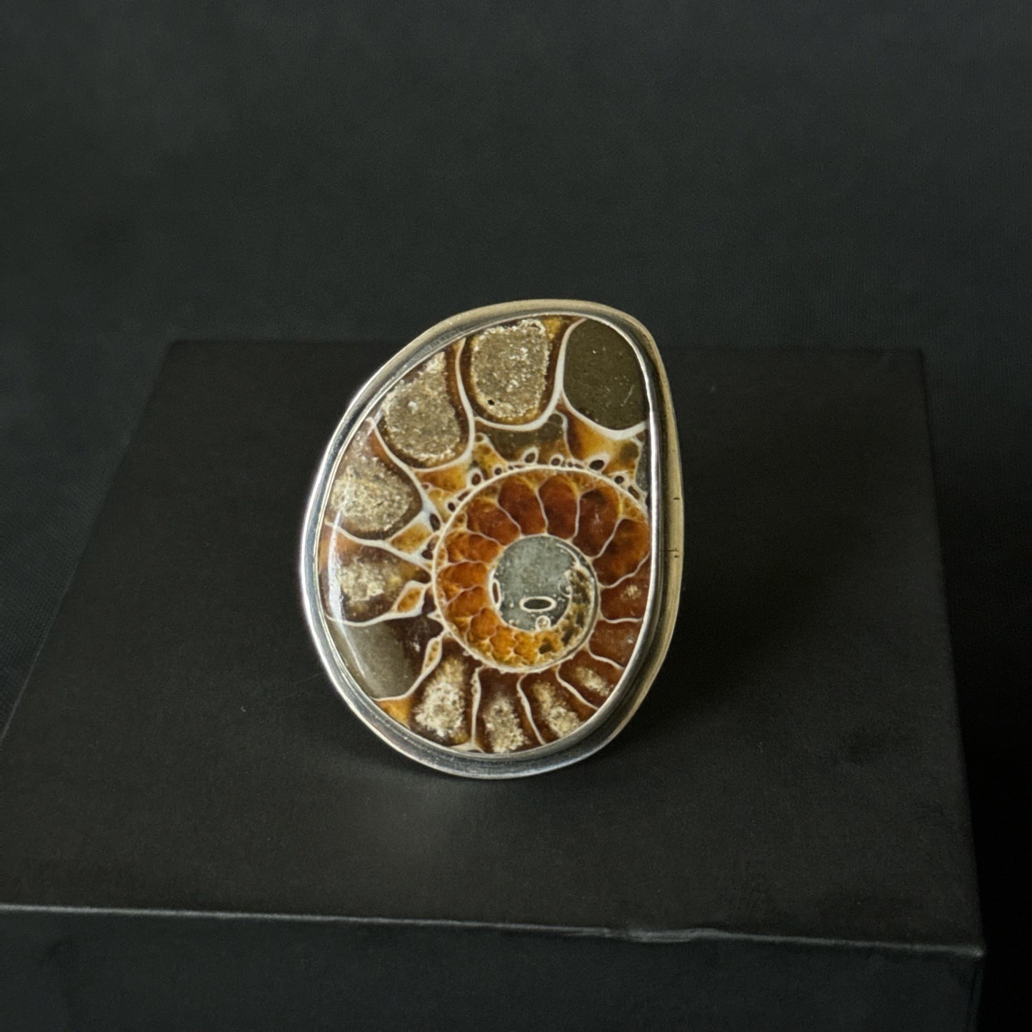 Large Ammonite Sterling Silver Ring - Size Q