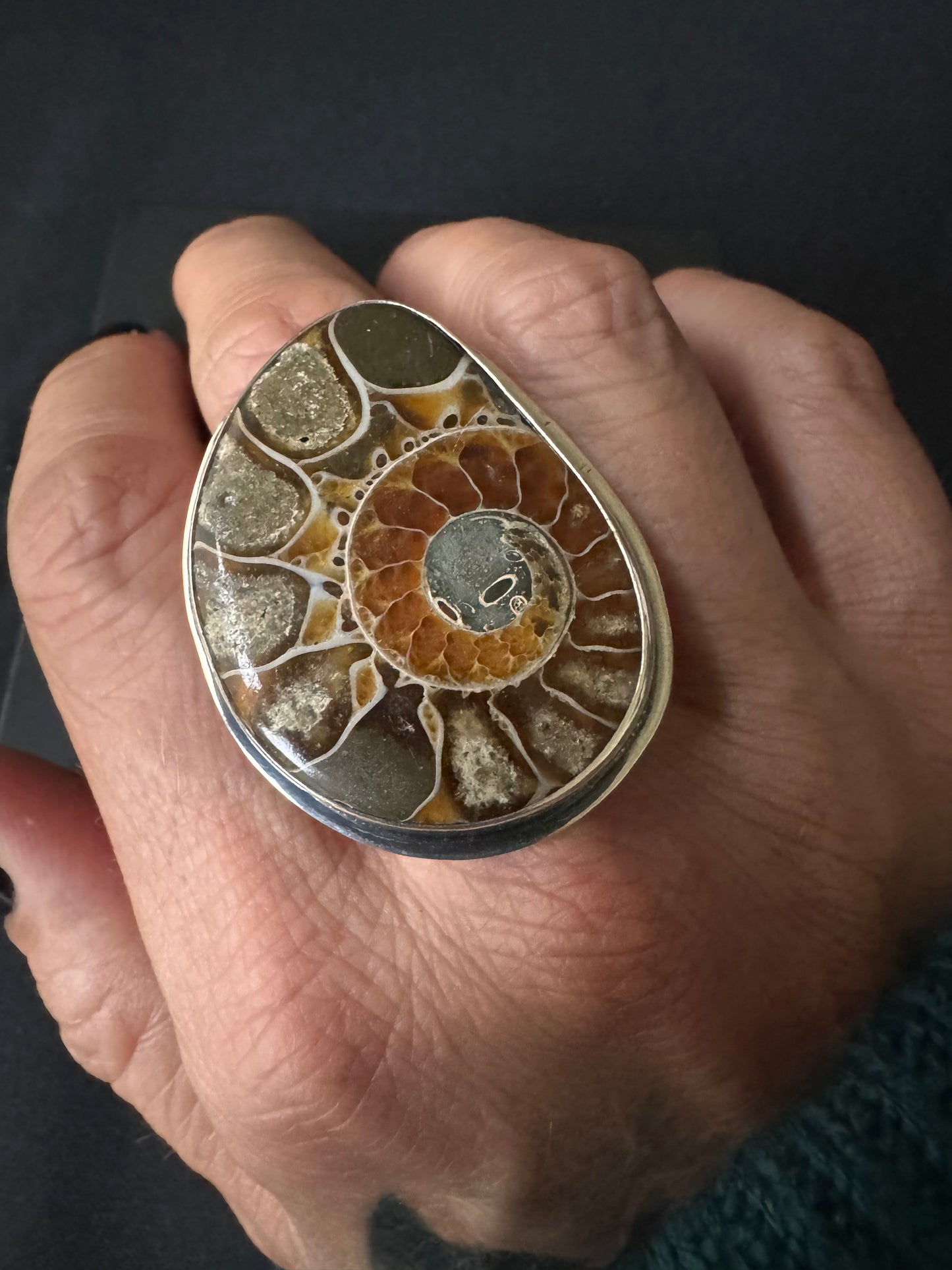 Large Ammonite Sterling Silver Ring - Size Q